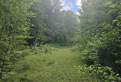 Teren extravilan cu potential turistic - Brezoi - 5