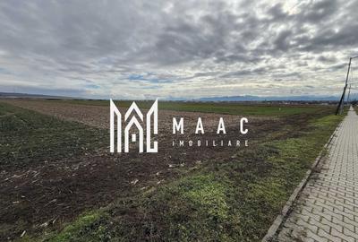 Teren Construcții intravilan de 9600 mp, în Șura Mică - 1