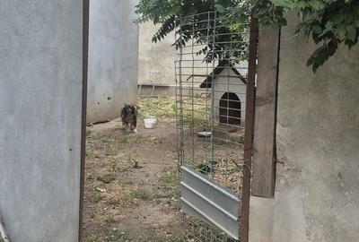 Casă cu 4 camere în Mazepa 2 - 3