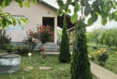 Casă cu 2 camere cu Teren 1751 Mp în Bogata