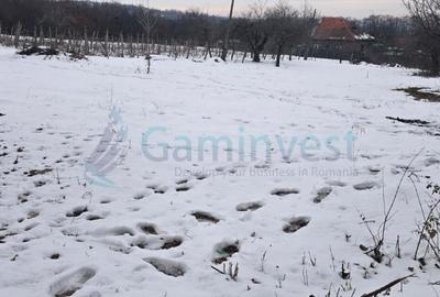 Teren Construcții intravilan de 1655 mp, în Dealuri Oradea - 1