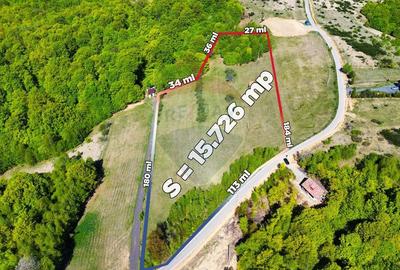 Teren extravilan de 7500 mp, în Preluca Nouă - 10