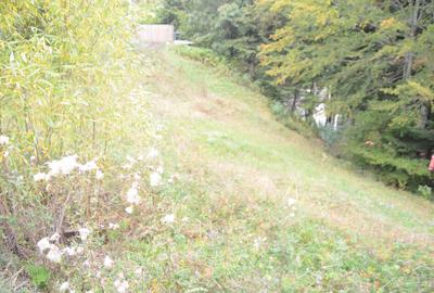 Busteni-Teren cu panorama superba de vanzare - 7