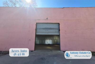 Spațiu comercial, de 216 mp, în Rogerius - 9