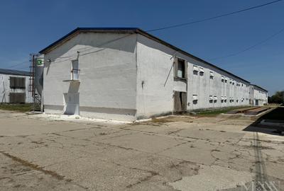 Hala | Spatiu depozitare, productie de inchiriat | Les, Bihor