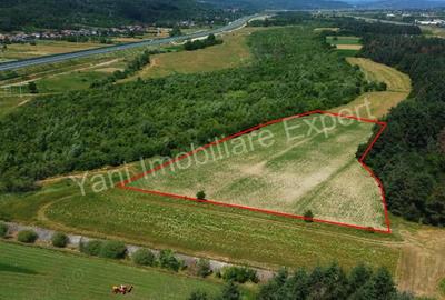 Teren de vanzare in comuna Baicule?ti, Judet Arge?. - 5