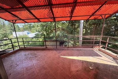 Casa cu teren generos refugiul perfect in Paltinoasa... - 18