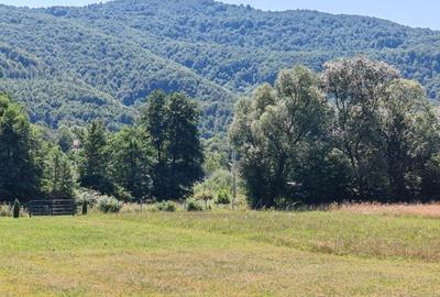 2500 mp TEREN INTRAVILAN MUNTII APUSENI, Negreni – Cluj, E60 - Mal Crisul Repede - 13
