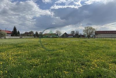 Teren Sat Bacel 6200 mp - 4