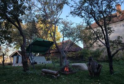 Casă cu 2 camere cu Teren 10000 Mp în Nucșoara - 3