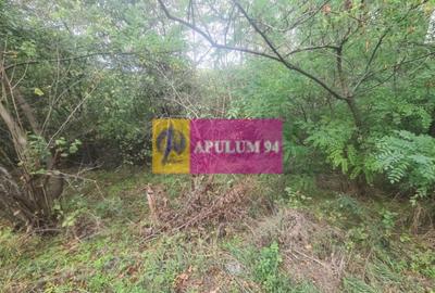 Teren de vânzare în Câmpina - 1