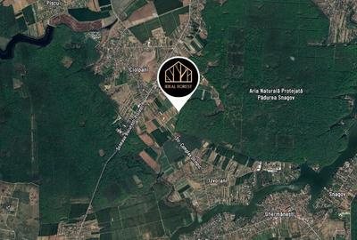 TEREN DE VANZARE CU PROIECT SI AUTORIZATIE- PRET PROMOTIONAL SNAGOV - 7