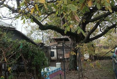 Casă cu 3 camere cu Teren 2493 Mp în Pădina - 1