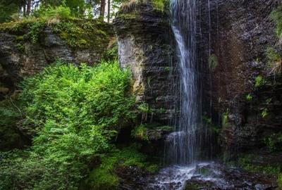 Teren intravilan si padure de brad 34.000 mp Varsag, Harghita - 4