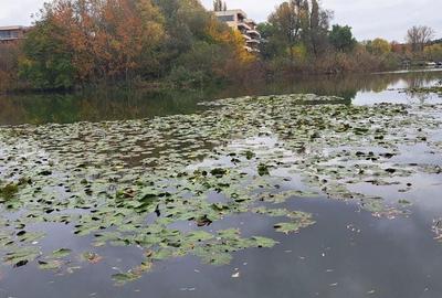 O oportunitate excepțională pe malul Lacului Snagov - 6