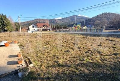 Teren de 300 mp, în Sâmbăta de Sus - 4