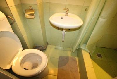 Apartament cu 2 camere semidecomandat, mobilat în Romană - 11