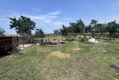 Casă cu 5 camere cu Teren 1400 Mp în Central - 5