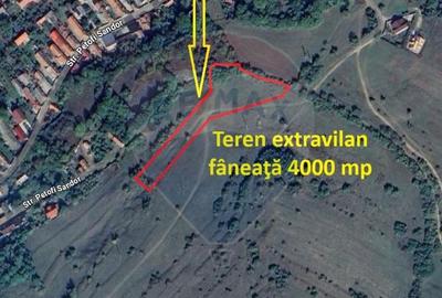 Teren extravilan, faneata, 4000 mp, Tarlungeni - 1