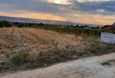 Teren de 1500 mp, în Central - 3
