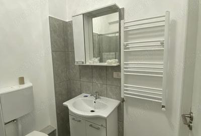 Garsonieră în Dumbrăvița - 8