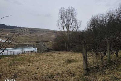 Teren de 5000 mp, în Sic - 3