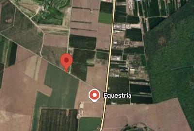 Teren de 7017 mp, în Vlădiceasca - 8