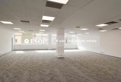 Central Business Park, Marasesti, 273 - 2160 mp 0% comision! - 15