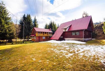 Cabane cu 10 camere Arieseni - 2