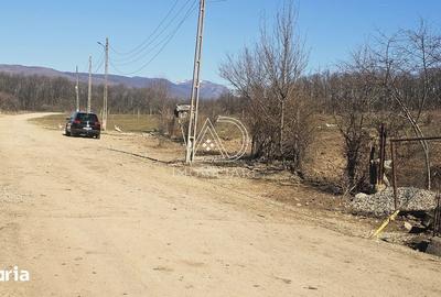 Teren de 2338 mp, în Bălești - 3