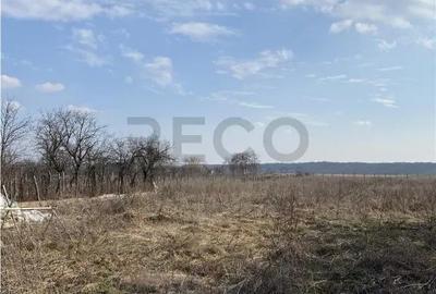 Teren de 4200 mp, în Apateu - 3
