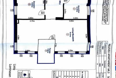 Apartament cu 3 camere, mobilat în Calea Dumbrăvii - 10