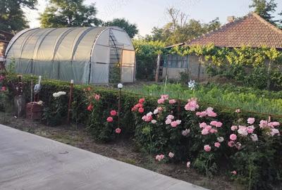 Casă cu 3 camere cu Teren 1000 Mp în Frăsinet - 1