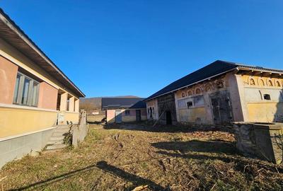 Casă cu 3 camere cu Teren 2300 Mp în Borza - 6