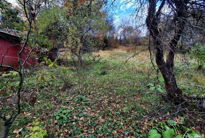 Casa de vacanta Timisu de Sus/Brasov/Oportunitate investitie - 22