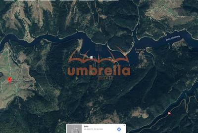 Teren de vanzare 29.131m²/35€ m² lac Belis, la Paraul Butoaie, Giurcuta - 8