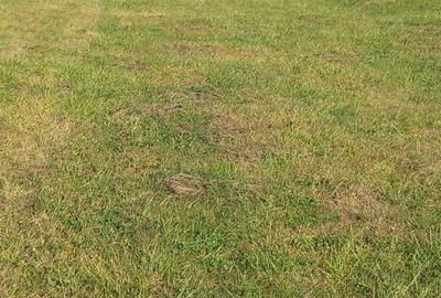 Teren de 3800 mp, în Spătărești - 2