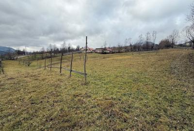 Teren de 4872 mp, în Lunca - 2