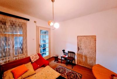 Casă mare, Parter + Etaj, la Vasiova, pe strada Principală (Tudor Vladimirescu) - 9