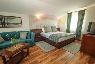 Spațiu comercial, de 1,000 mp, în Schiulești - 9