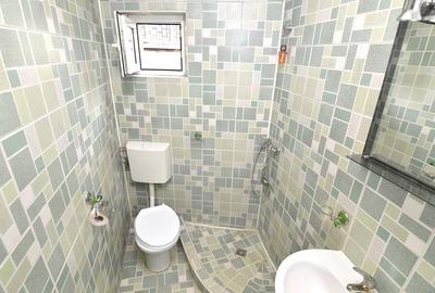 Apartament cu 3 camere semidecomandat, mobilat în Unirii - 30