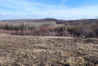 Teren de 4352 mp, în Central