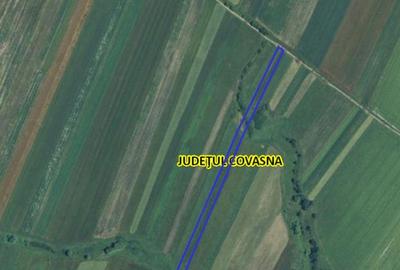 Teren de 6000 mp, în Ilieni - 1