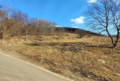 Teren intravilan,cartier Gusterita,Sibiu,comision 0 - 1