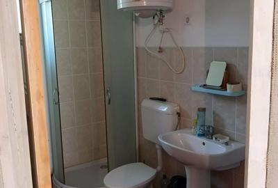 Casă cu 4 camere în Brestovăț - 2
