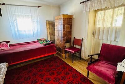 Casă cu 2 camere în Mica - 3
