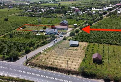 Casa sau Spatiu Dumbraveni langa DN E85 - 3