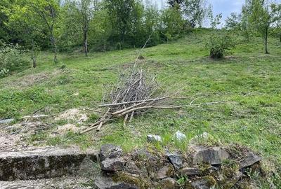 Teren de 1100 mp, în Văliug - 4