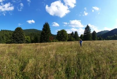 Teren Construcții intravilan de 2089 mp, în Schitu Tarcău - 8