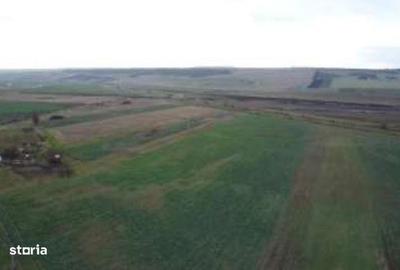 Spațiu comercial, în Gura Albești - 8